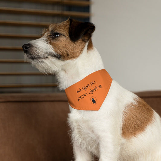 Se que no, pero ojala si Pet Bandana Collar | Spanglish, Latinx, Latino, Hispanic, Caribbean, Puerto Rican, Miami | Spanish Quotes, Dichos