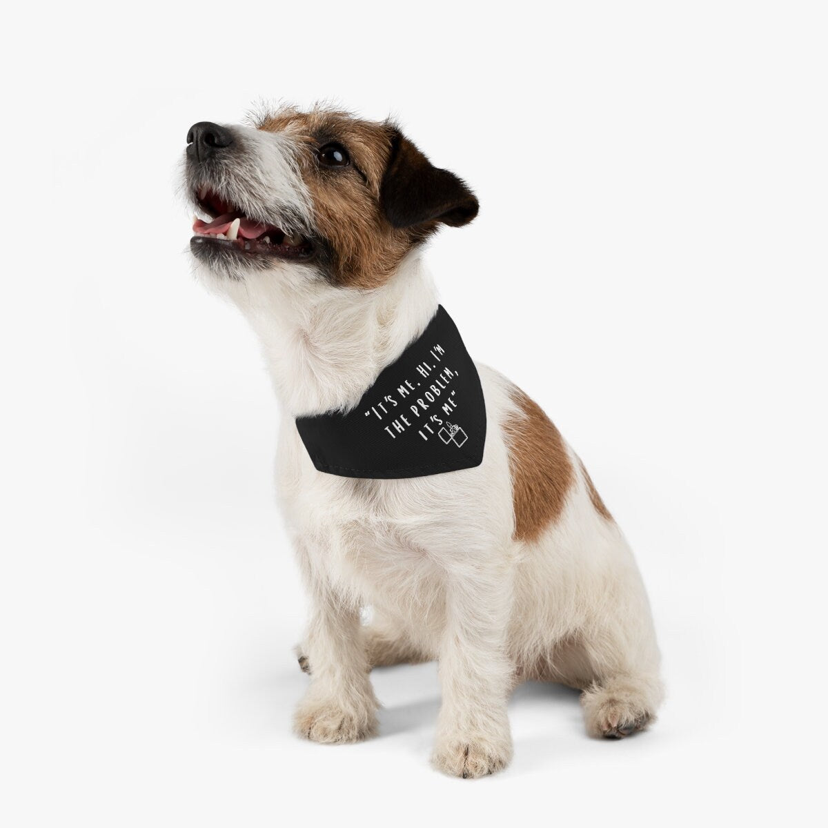 Anti-Hero Pet Bandana Collar