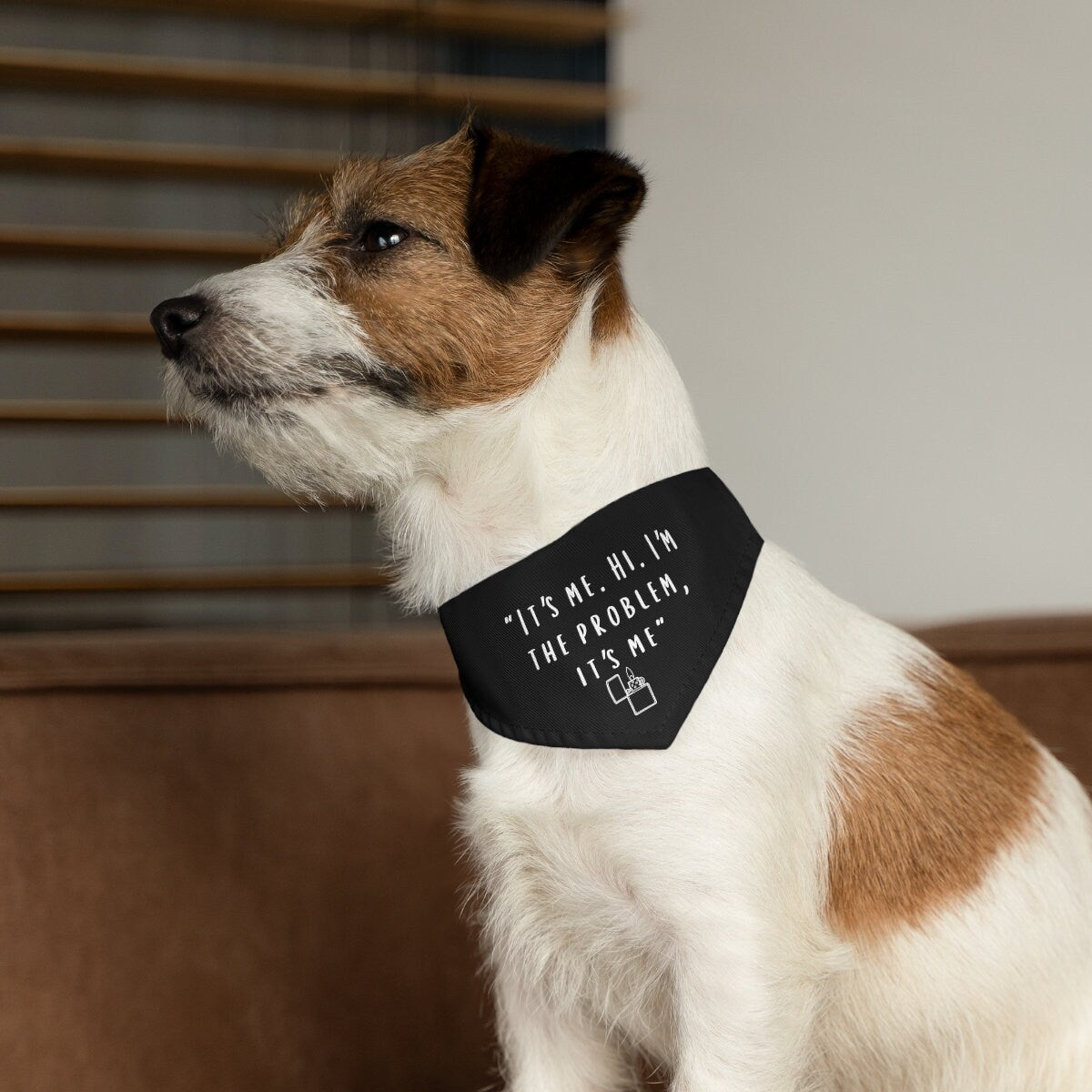 Anti-Hero Pet Bandana Collar