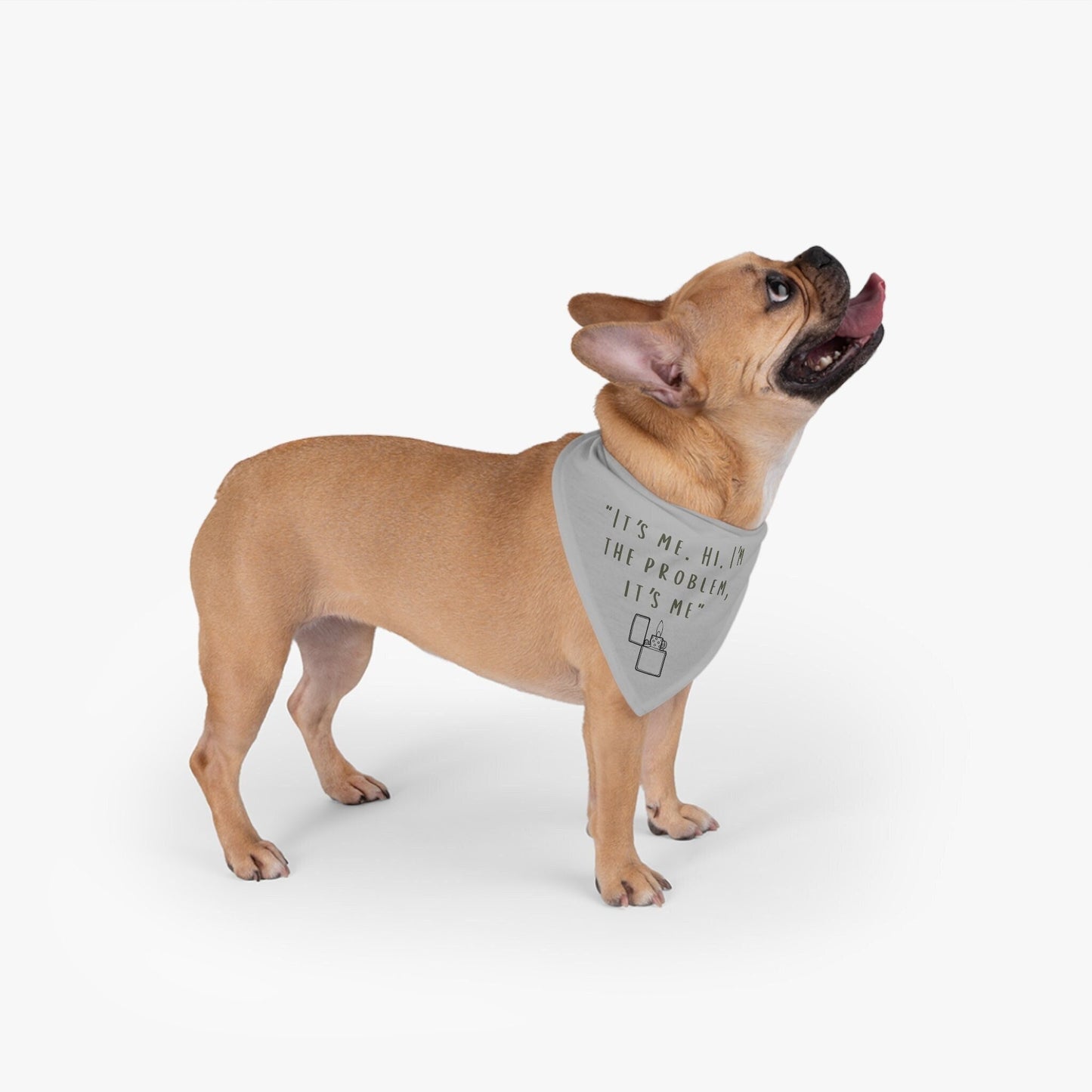 Anti-Hero Pet Bandana