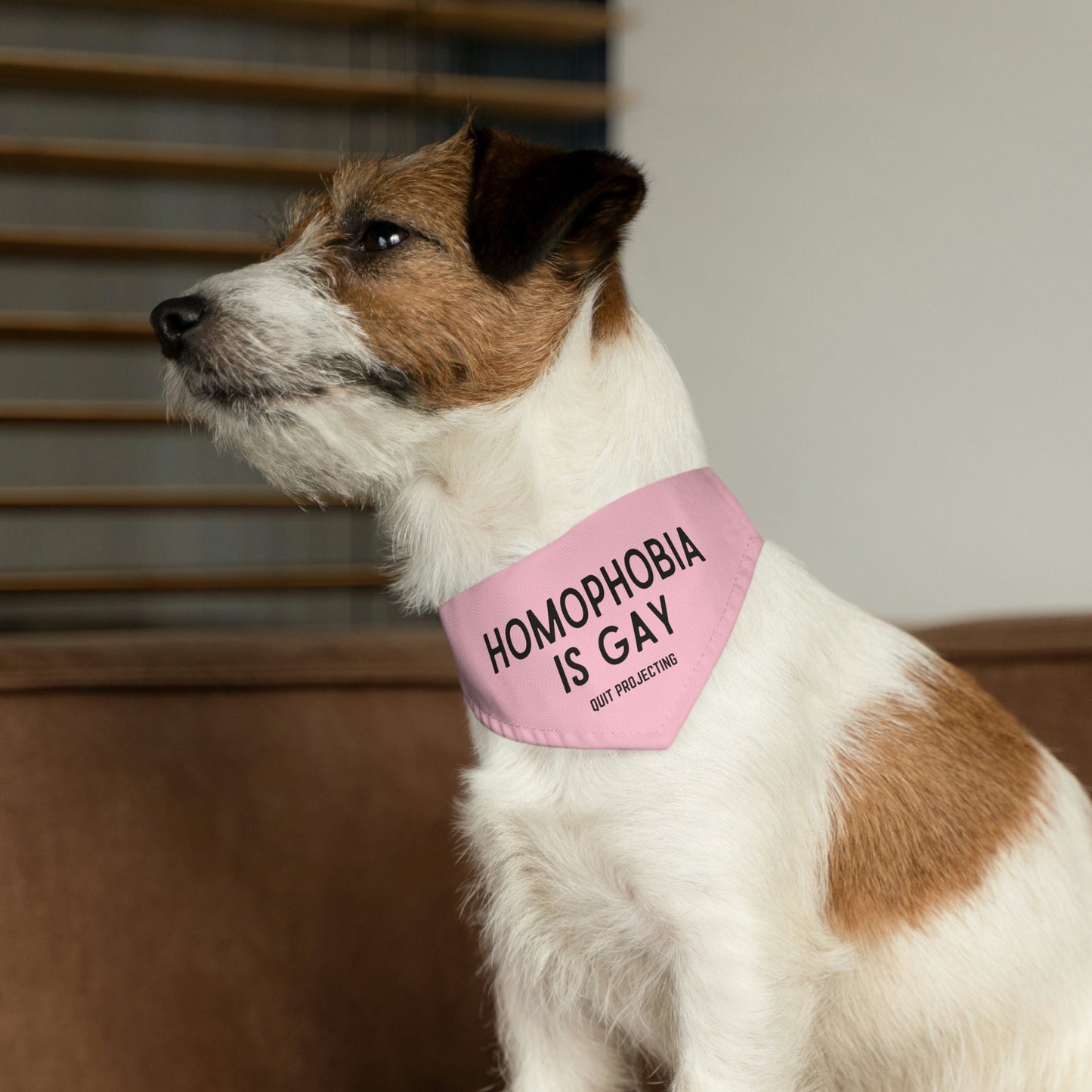 Homophobia is Gay Pet Bandana Collar | Gay Rights, Human Rights, Equality, LGBTQ+, Pride, Queer, Quit Projecting, Dog Pride Parade Outfit