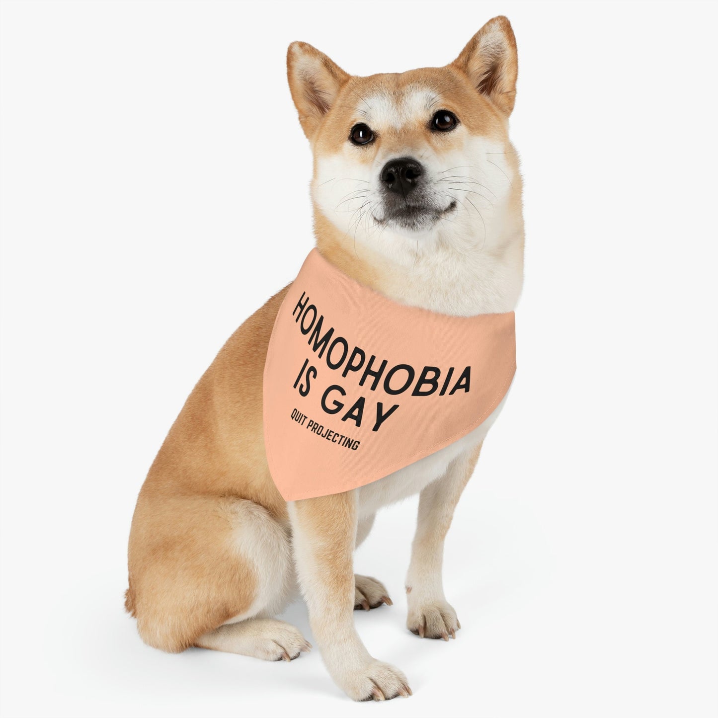 Homophobia is Gay Pet Bandana Collar | Gay Rights, Human Rights, Equality, LGBTQ+, Pride, Queer, Quit Projecting, Dog Pride Parade Outfit