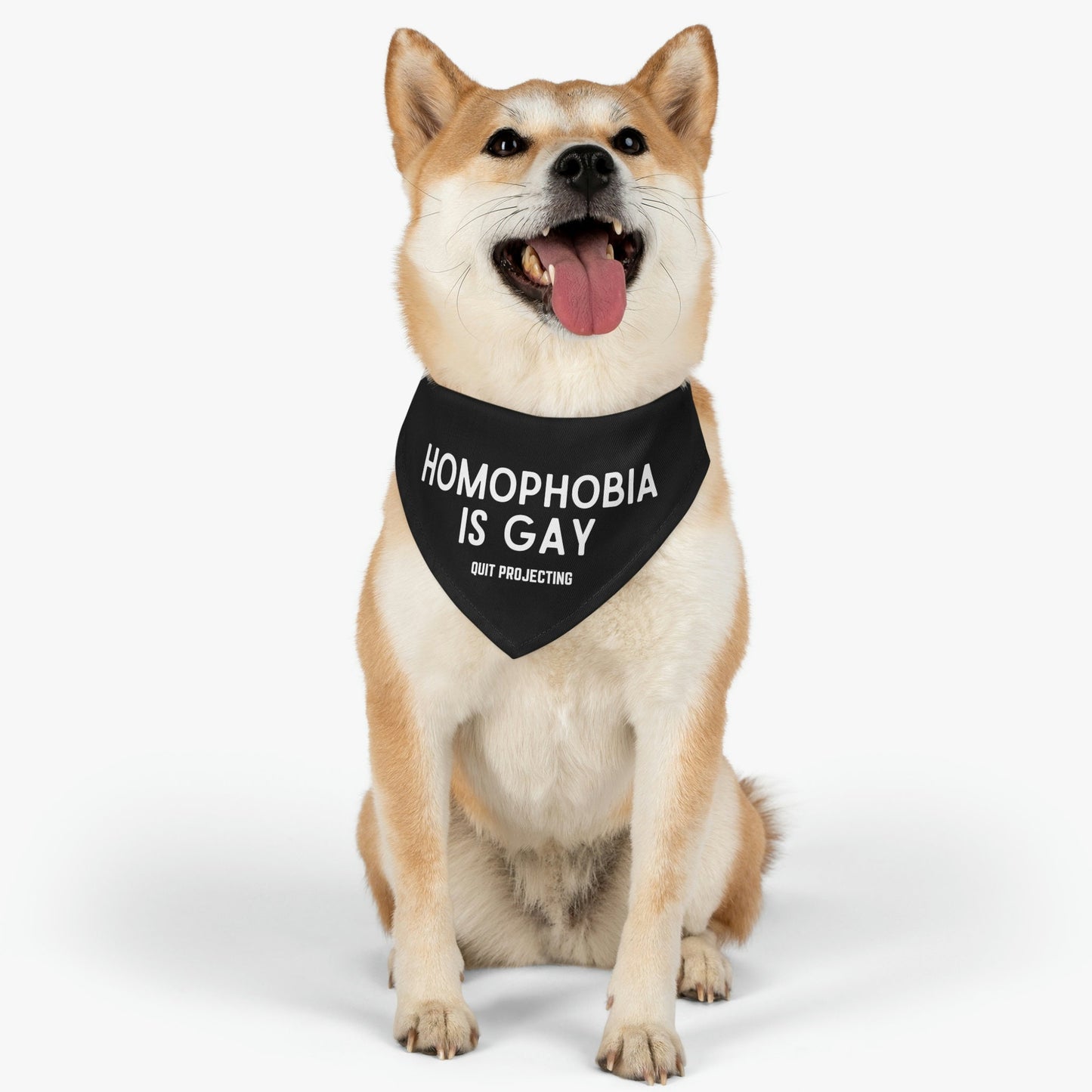 Homophobia is Gay Pet Bandana Collar | Gay Rights, Human Rights, Equality, LGBTQ+, Pride, Queer, Quit Projecting, Dog Pride Parade Outfit