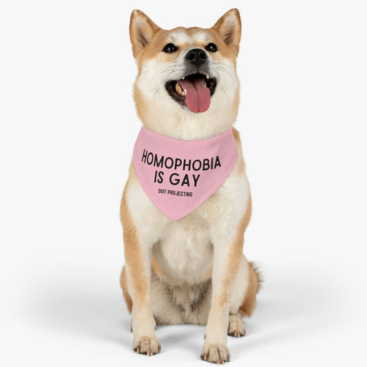 Homophobia is Gay Pet Bandana Collar | Gay Rights, Human Rights, Equality, LGBTQ+, Pride, Queer, Quit Projecting, Dog Pride Parade Outfit